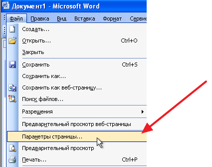 В каком пункте меню можно настроить параметры страницы текущего документа формат вид сервис файл